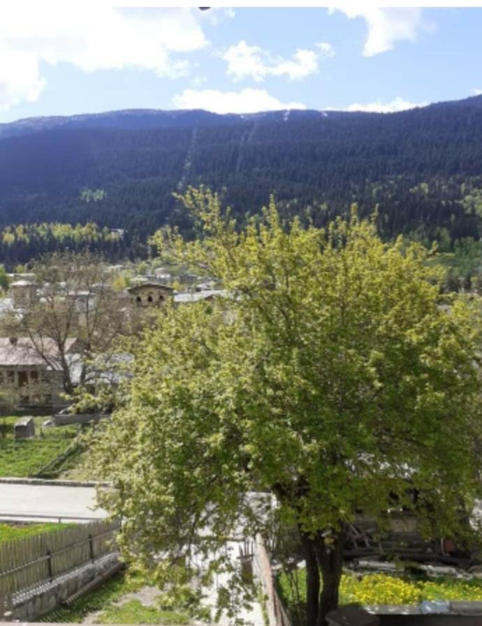 Hotel White Mountains • Თეთრი Მთები 梅斯蒂亚 外观 照片
