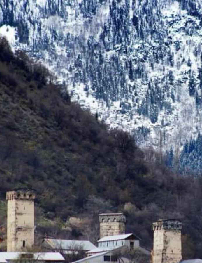 Hotel White Mountains • Თეთრი Მთები 梅斯蒂亚 外观 照片