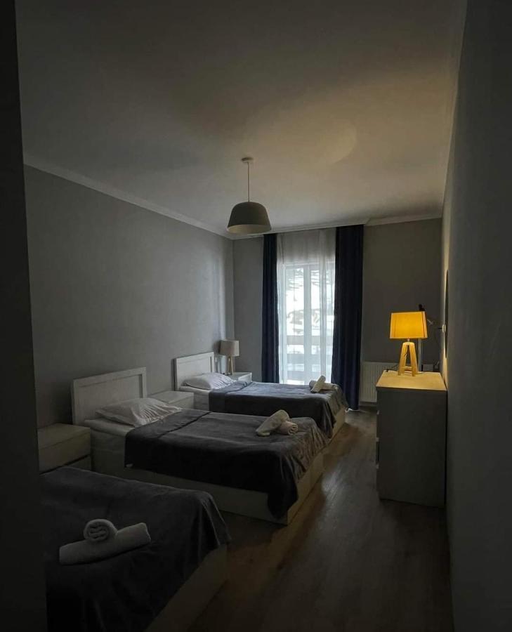Hotel White Mountains • Თეთრი Მთები 梅斯蒂亚 外观 照片
